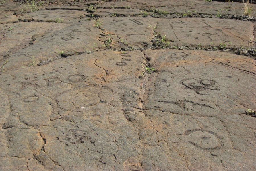 ../image/petroglyphs near waikoloa 4.jpg